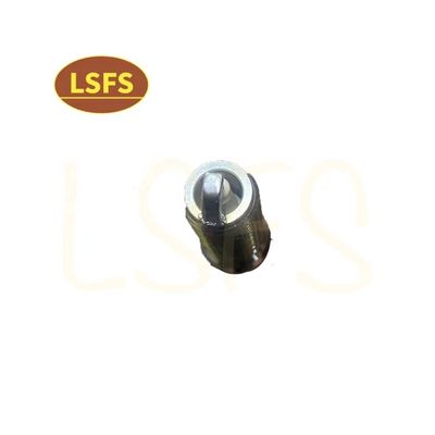 OEM 10162965 Bomba de ignição para Maxus G10 2.0T High Standard